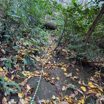 急登　この後はロープに助けられる
