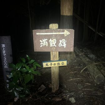 19:37に ここを通過したから00:30って事は4時間53分って事か！
夜間走という点を差引いても遅いな…

だいぶ涼しくなってきたけど全然ペースが上がってこない…
やはりダイエットしなきゃダメなんか…