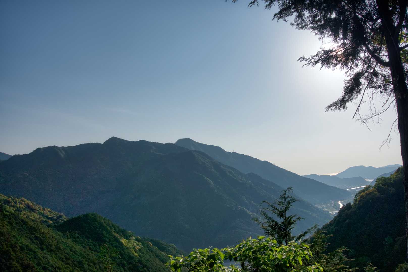 林道から。