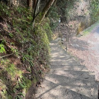 二つ堂登山口到着
まだまだ下ります