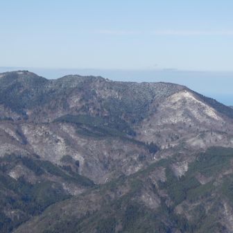 森林公園の千軒平やすずのこ平