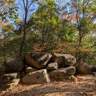 これは〰️
覚えていますよ。
八畳岩古墳