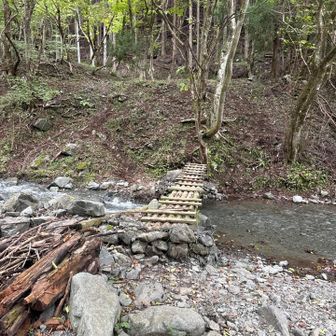 鍋割山からのルートは、数箇所渡渉あり