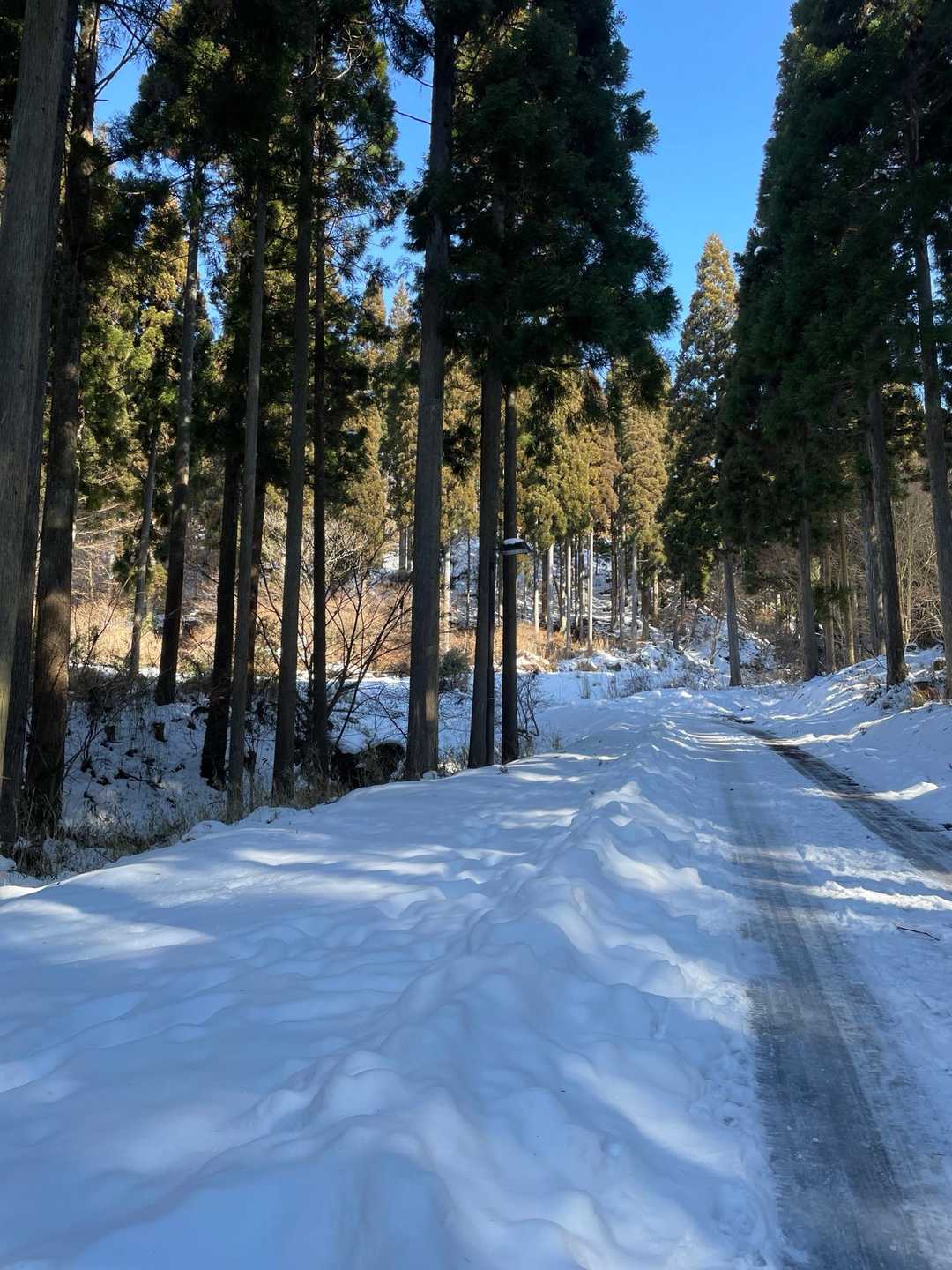 現地に来るまで、ひょっとして雪無いんちゃう？とか言ってたけどありました〜🙌
さぁ出発〜✊