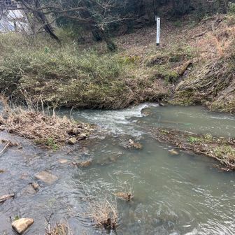 と思ったら😳😵💦ありゃぁ

渡れない⤵️
2人で目を凝らして見てみたが、諦める⤵️
今朝までの雨で増水☔