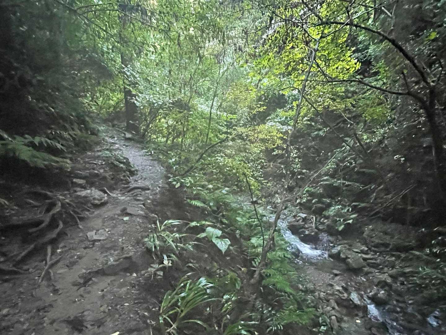 清滝駅-高尾山-一丁平園地-休憩舎-城山-小仏峠-景信山- 縦走コースの写真