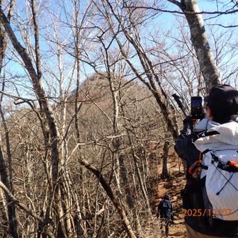 本社ヶ丸は正面の山の更に先