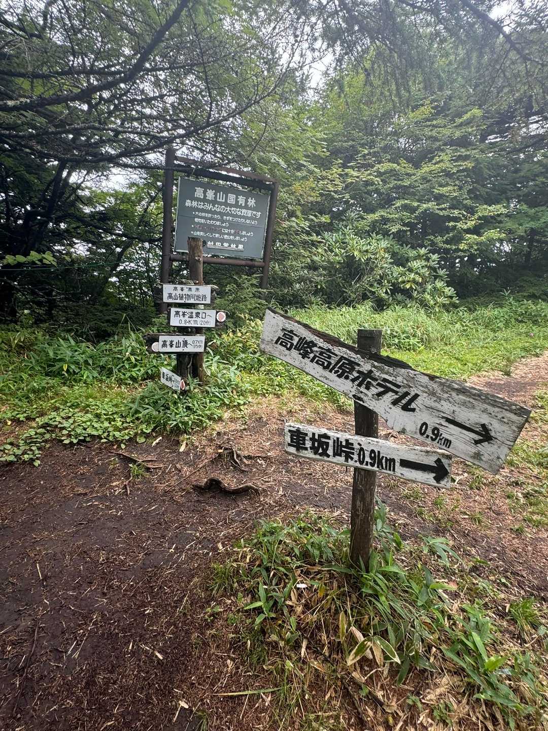 車坂峠-高峰神社-高峯山 往復コースの写真