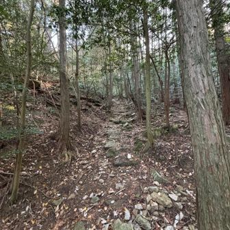 本当しっかりした道です
歴史があるのでしょうか？