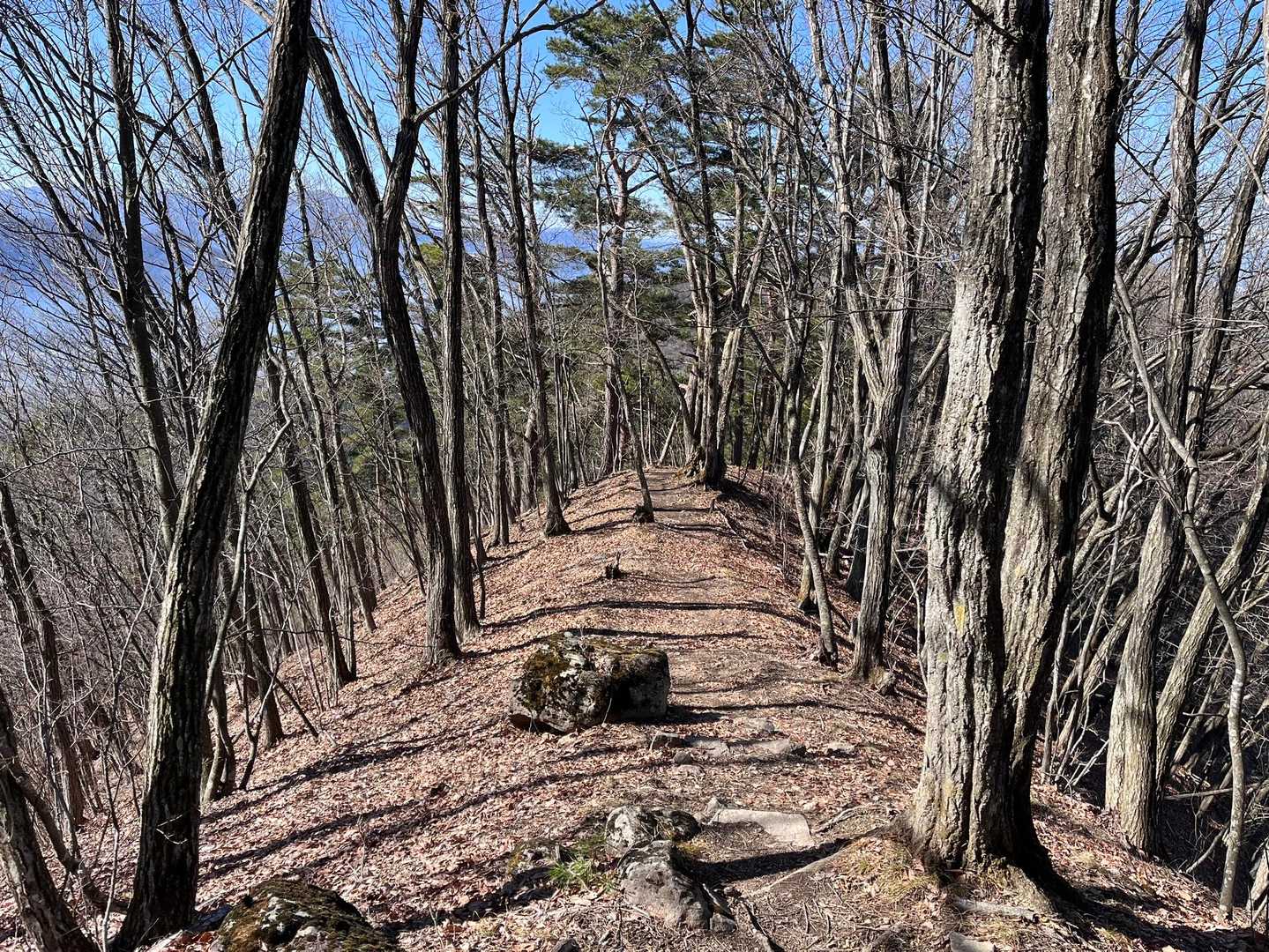 雁田山登山道入口-雁田山-雁田山公園ハイキングコース入口 周回コースの写真