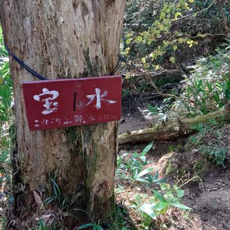 宝水
うっすらと、これより先に水場しとありました