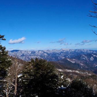 奥多摩方面
なかなかの白さ
こちらより降ってそう☃️
