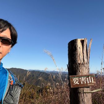 抜けるような青空。今日はほとんどのピークを迂回する予定だが、ここはつい寄っちゃう。