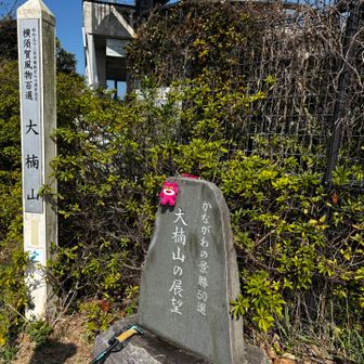 三浦半島最高峰