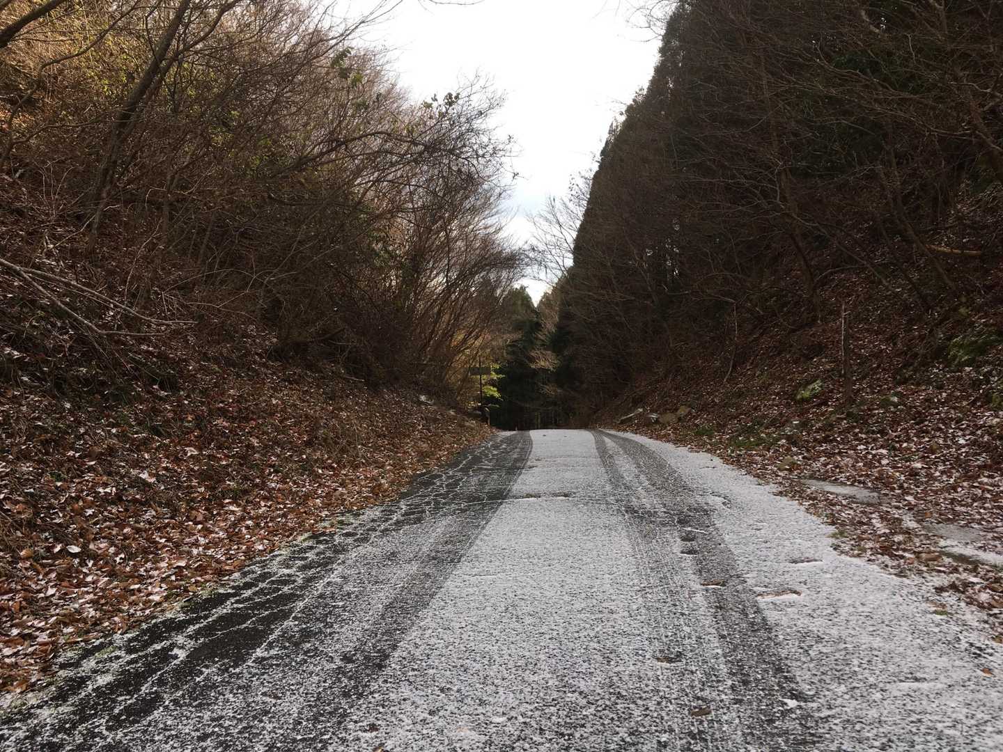 雪うっすら