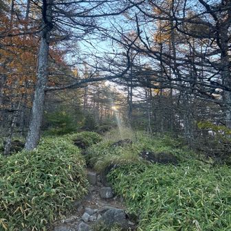 早朝に出発
なんて気持ちの良いこと✨✨