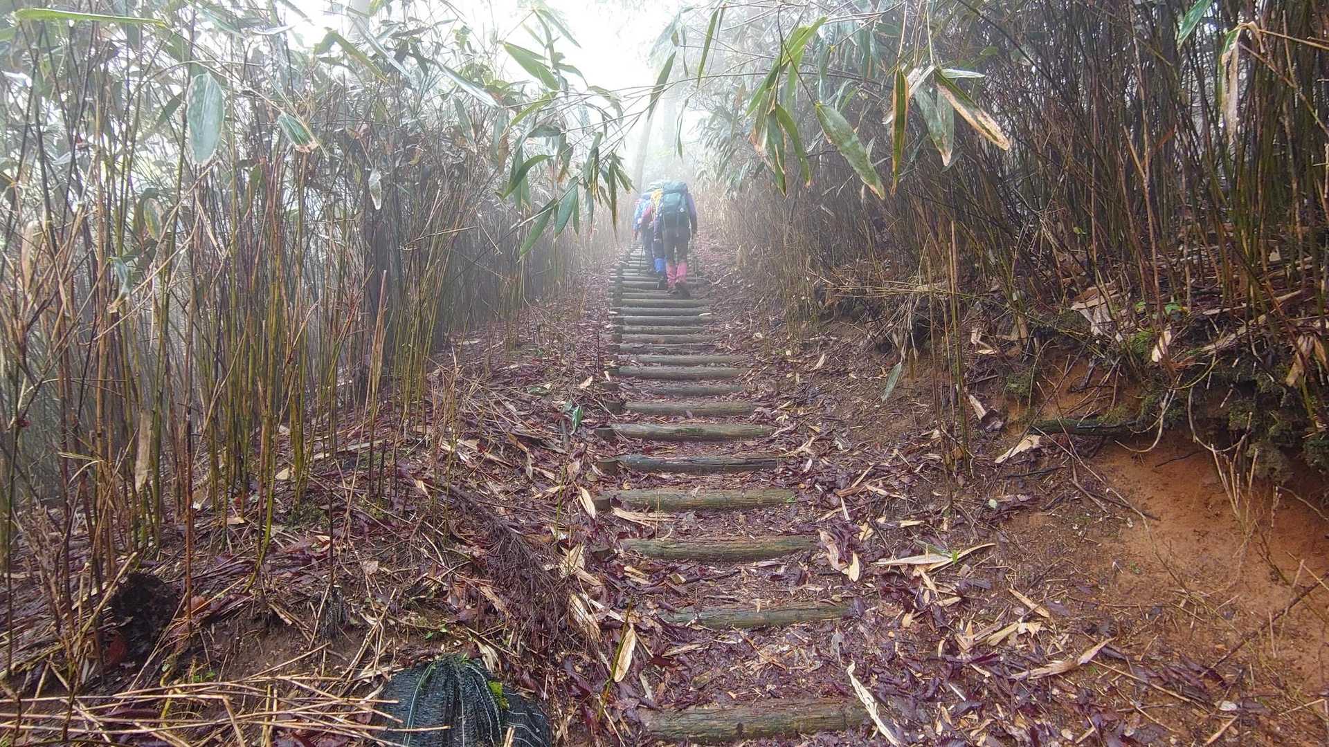 雁俣山へ。