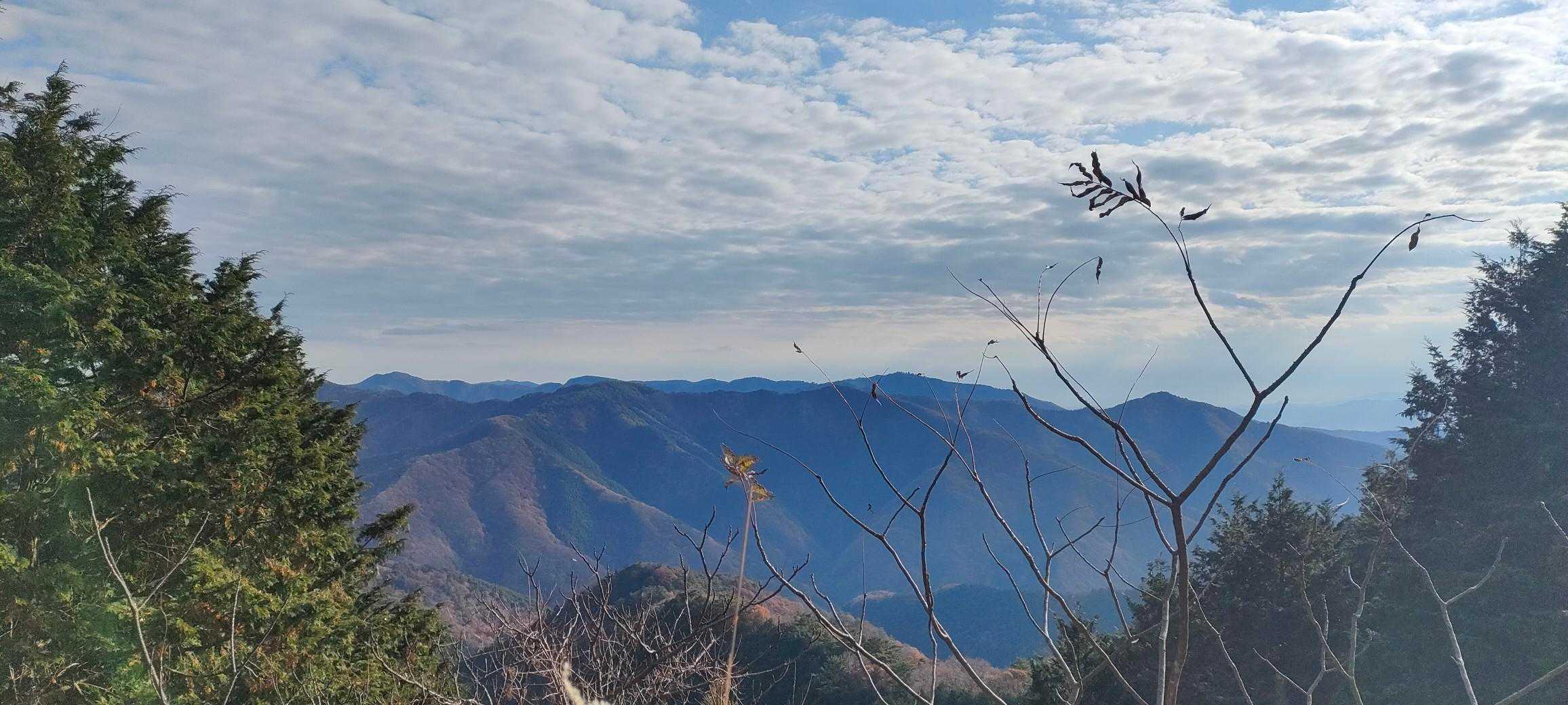 徳島の山並みです。
