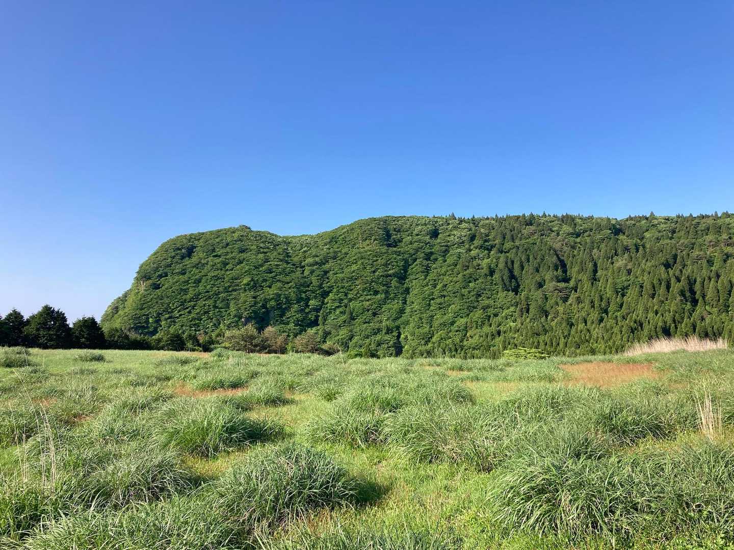 万年山は柱状節理が発達してできた山らしい