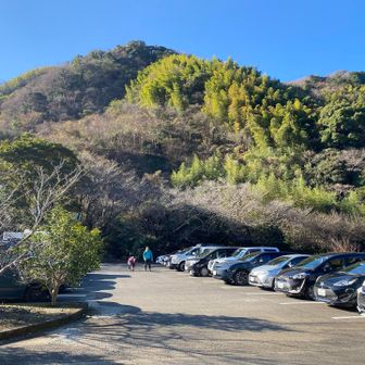 歩くルートにいちばん近い臨時駐車場はすでに満車でした。少し離れた花沢の里駐車場に停めてスタート！