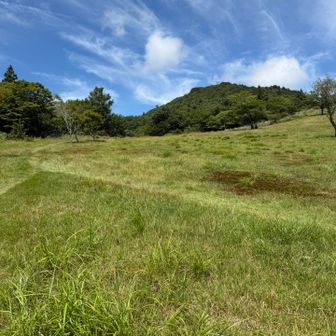 階段を上がると暫くは草原の中を歩きます。
既に茶臼山山頂が見えています。