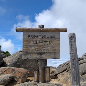 北奥千丈岳
この先の奥千丈岳も行く予定だったけど地図に眺望なしって書いてあったからやめた😉