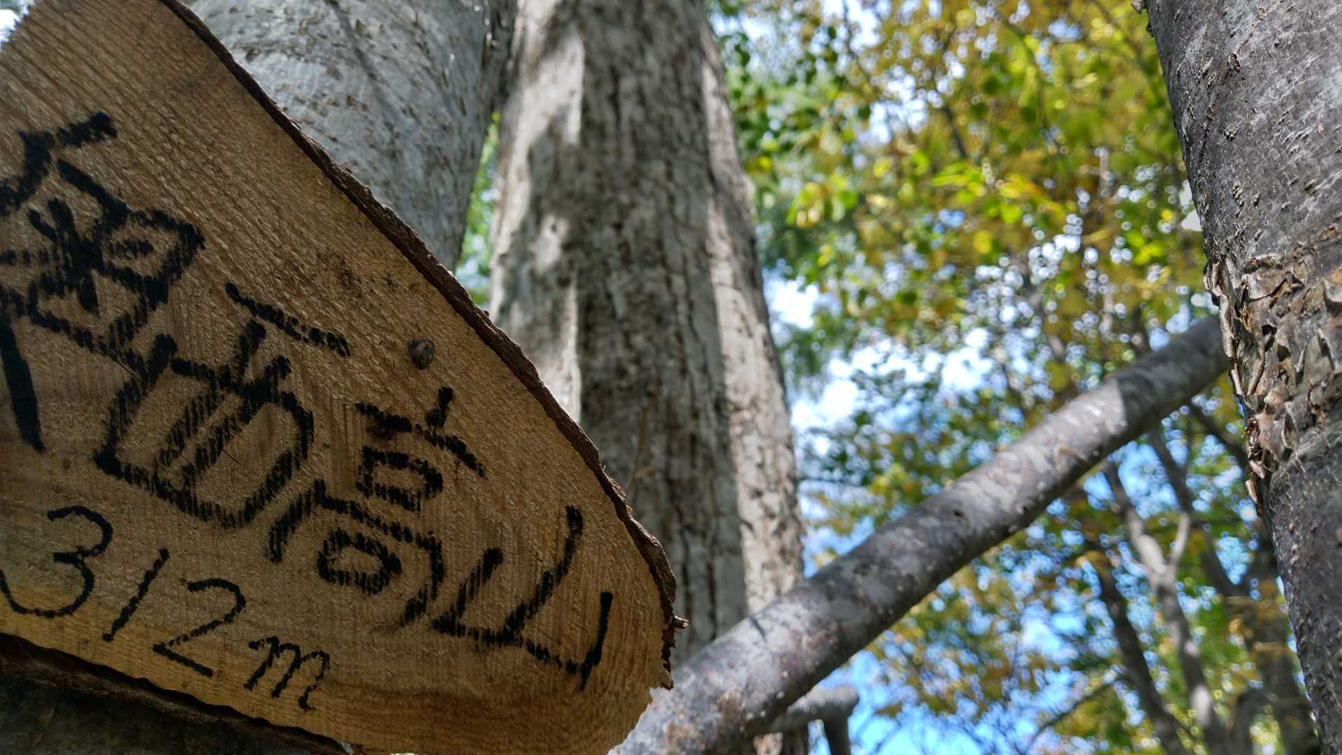 まずは1人で下見🌲
奥西高山手前に🐻💩

なんとか蜂の巣には
会わずに引率成功✨

お山の後は
焚き火でマシュマロ焼いたり
チョコレートフォンデュをやりました🤤👍

私は山リーダーでしたが
焚き火係の人達にくるみのサブレを焼いてきました(痛恨のミス⚡写真無し😭)