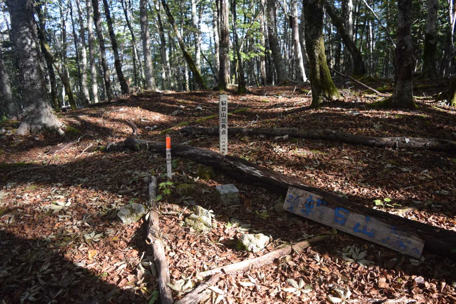 朝日山　三角点1667m
最高点は少し離れた場所にありました！
