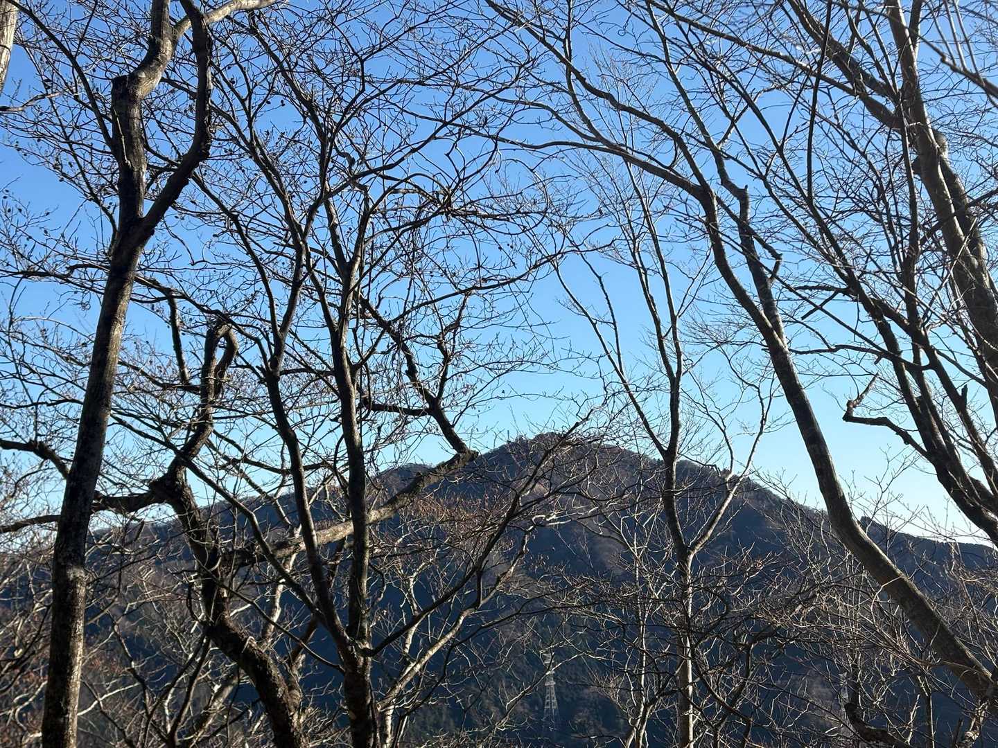 振り返ると大山