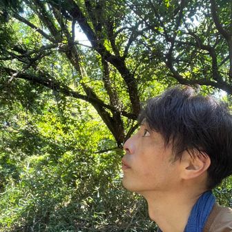 Ludens （ルーデンス）