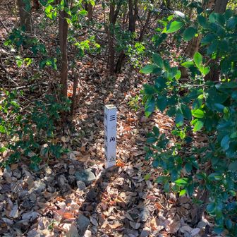 相生山 三角点︎👍🏻 ̖́-