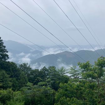 展望エリア西側、こんな感じ