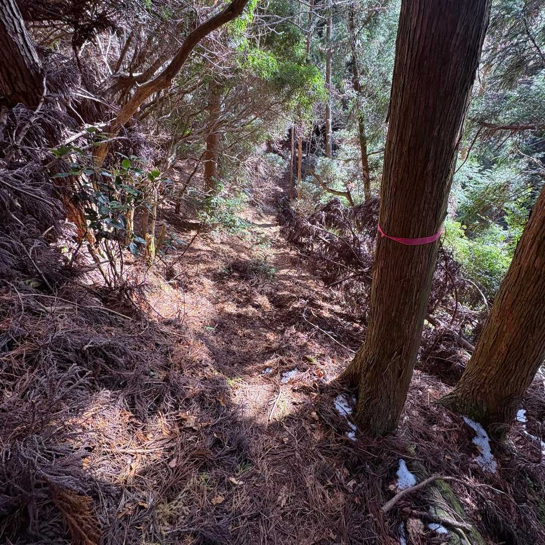 下りたりしながら進む