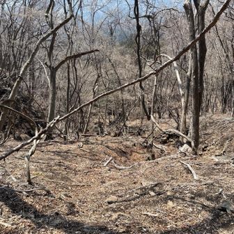 このまま谷で降りても行けそうだが正規ルートを探してトラバースを続ける