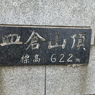 デカっっ😳