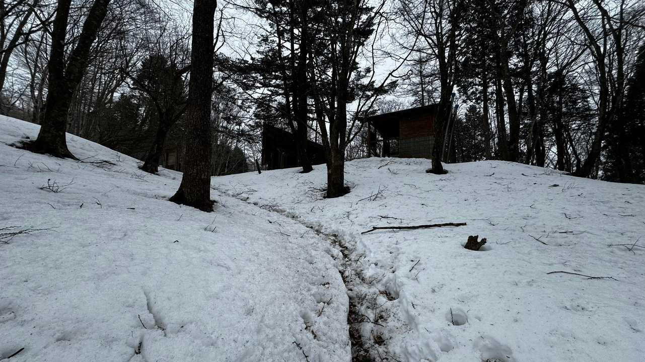 奥多摩、石尾根テン泊縦走（鴨沢〜七ツ石山〜鷹ノ巣山〜六ツ石山〜奥多摩駅） の写真 61