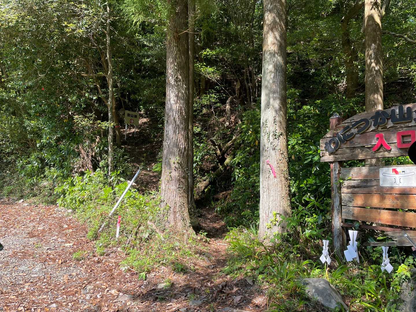 良く見る登山口　直ぐから急登！