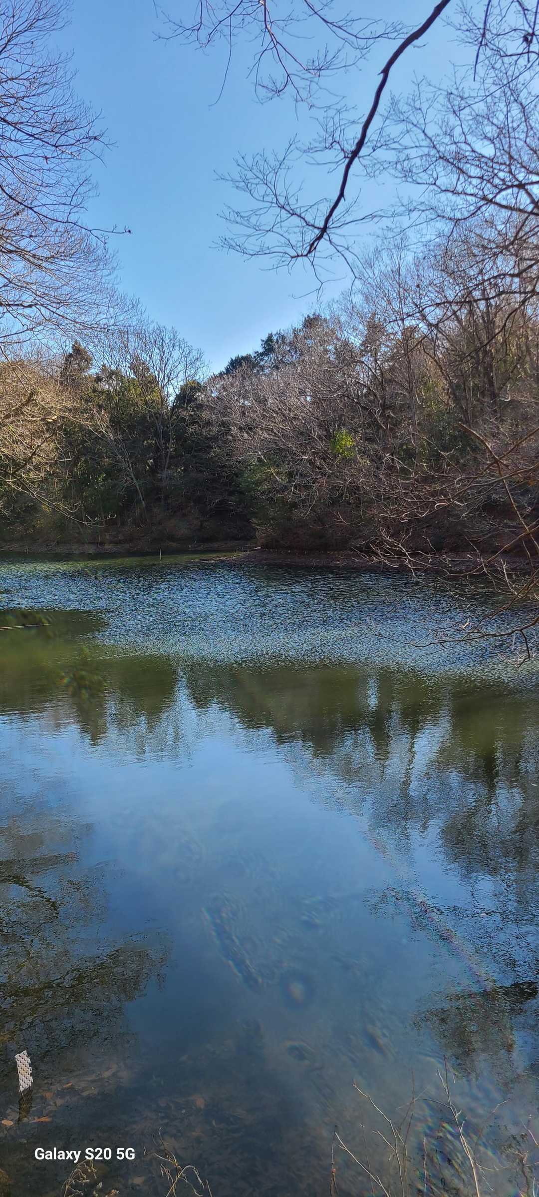 震生湖って、ボートとかあると思ってた😅