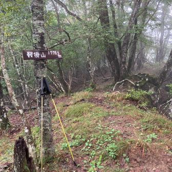山頂は痩せ尾根。