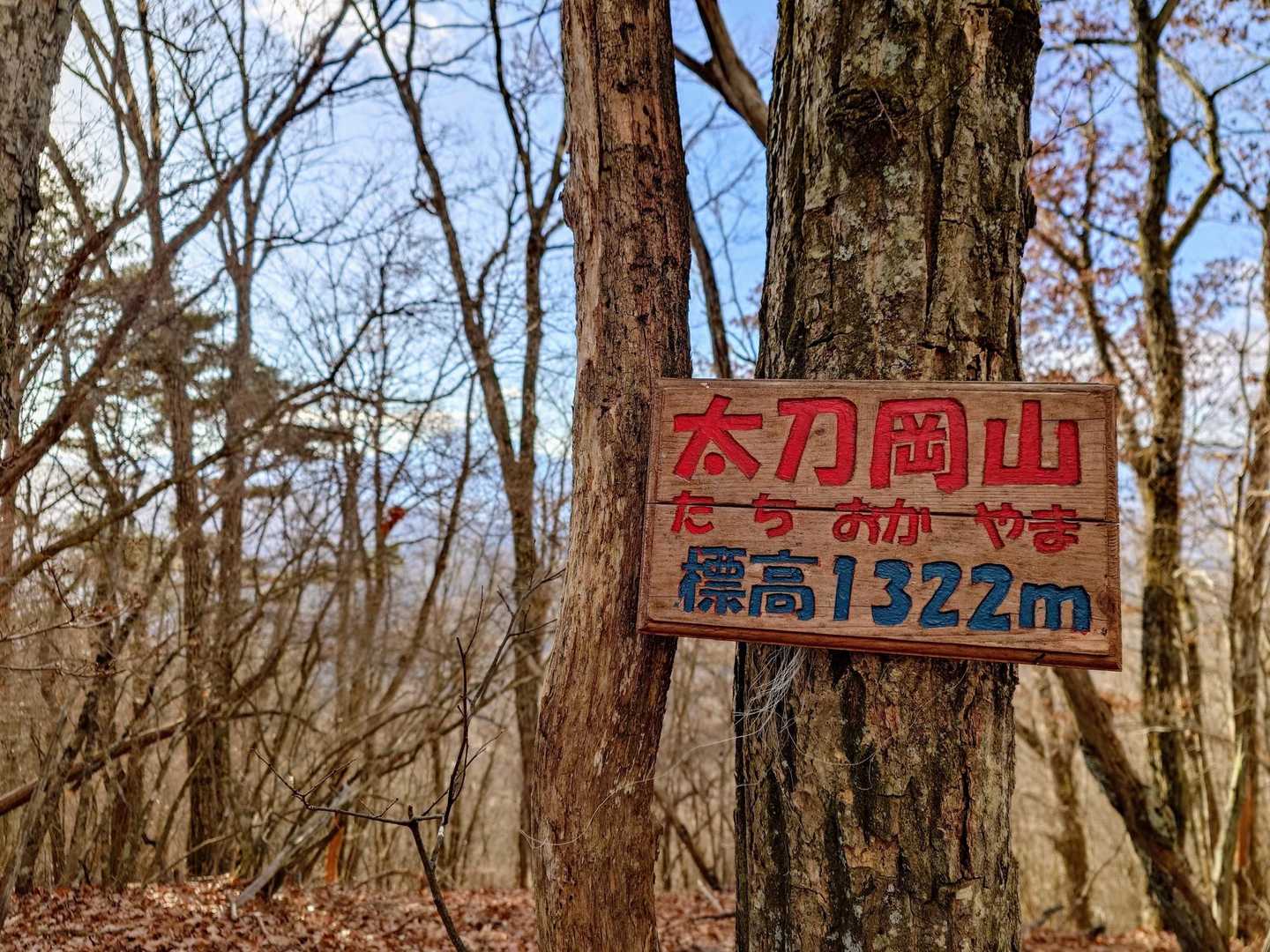 太刀岡山 山頂1,322m😆
こちらは見晴らしがないけど最高地点!!
木々の隙間からは茅ヶ岳•金ヶ岳が見えてます♪