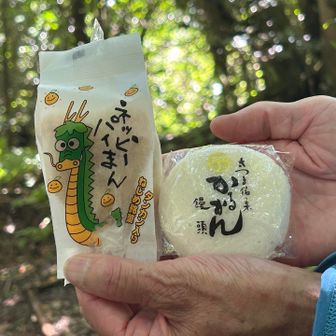 行動食。ペロリ😋