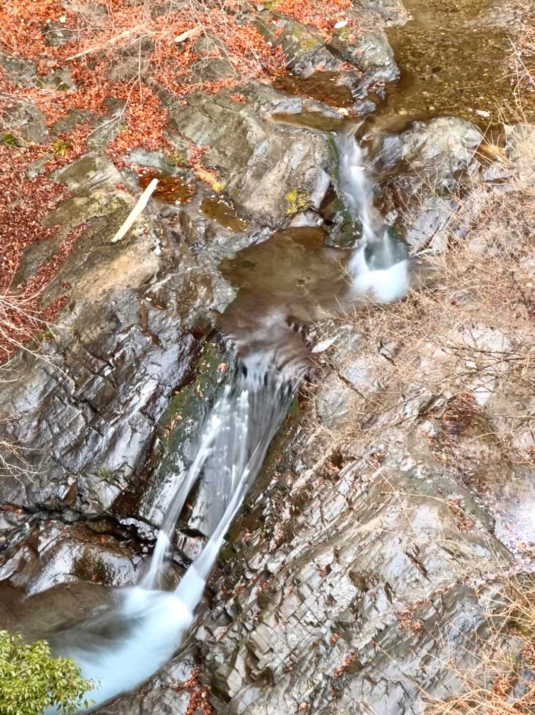 林道途中の滝