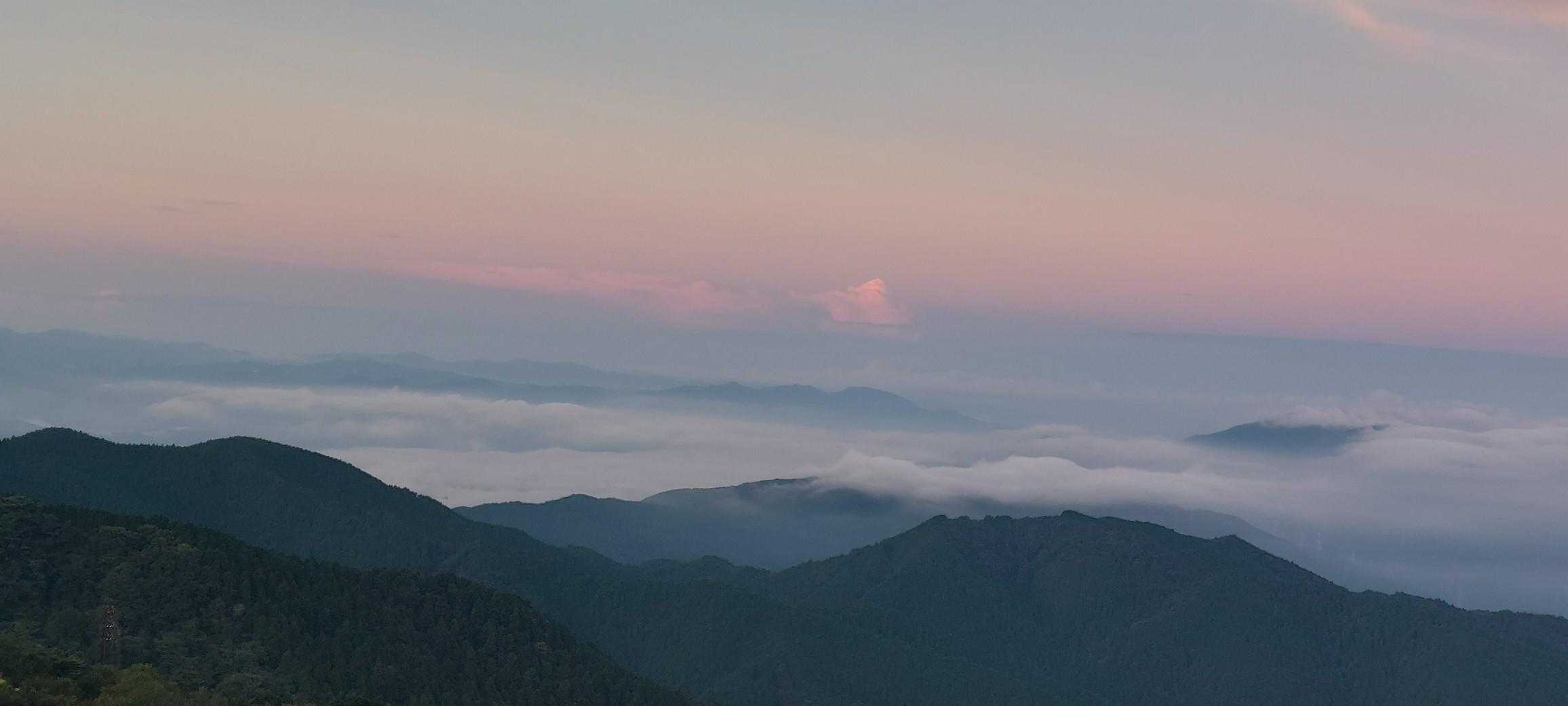 千早本道登山口-金剛山-府民の森 ちはや園地 往復コースの写真