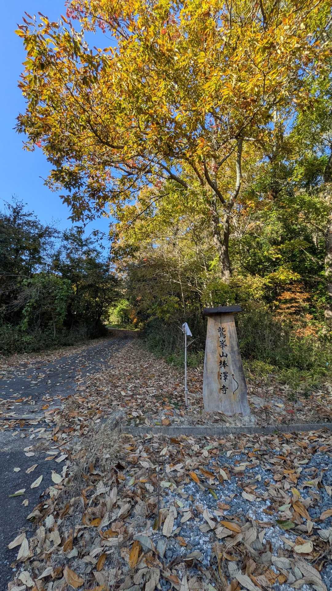棒澤寺へ向かいます