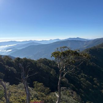 山頂からは霧島連山が見えます。