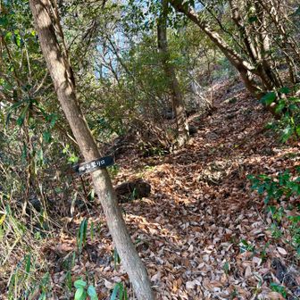 旭山登り口に下りて来ました。
落葉🍂だらけの道💦