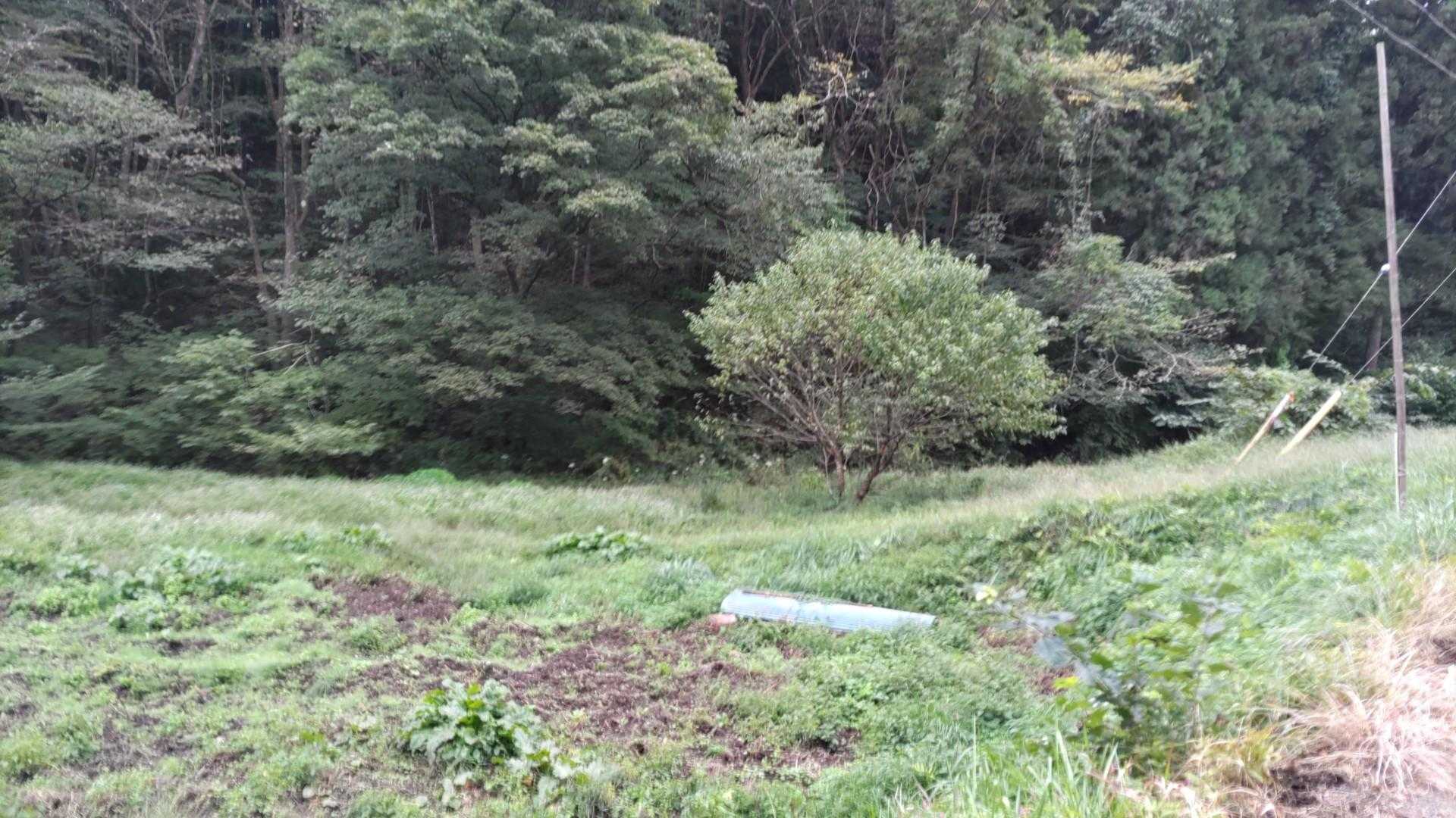 ここも分岐？表ルートの蕎麦屋に行くようです。