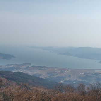 少し霞む陸前高田湾🌊