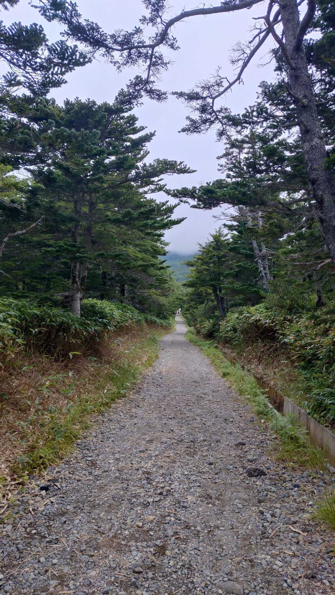 田の原登山口-三笠山-御嶽神社 頂上奥社 遥拝所 周回コースの写真