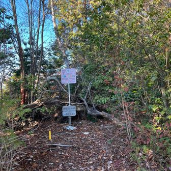 高沢山！
山頂！